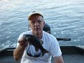 Juvenile Smallmouth